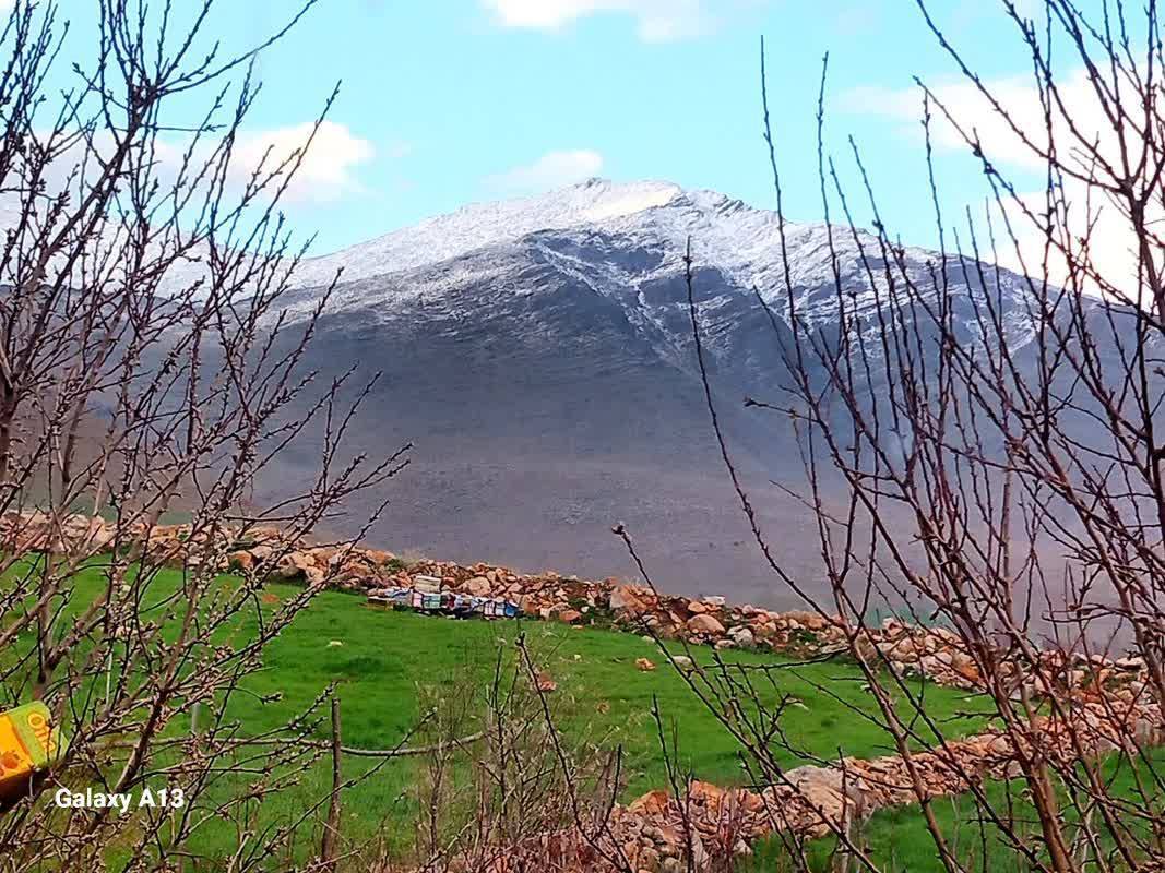کوهستان