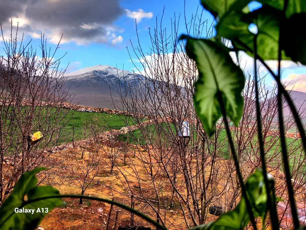 طبیعت