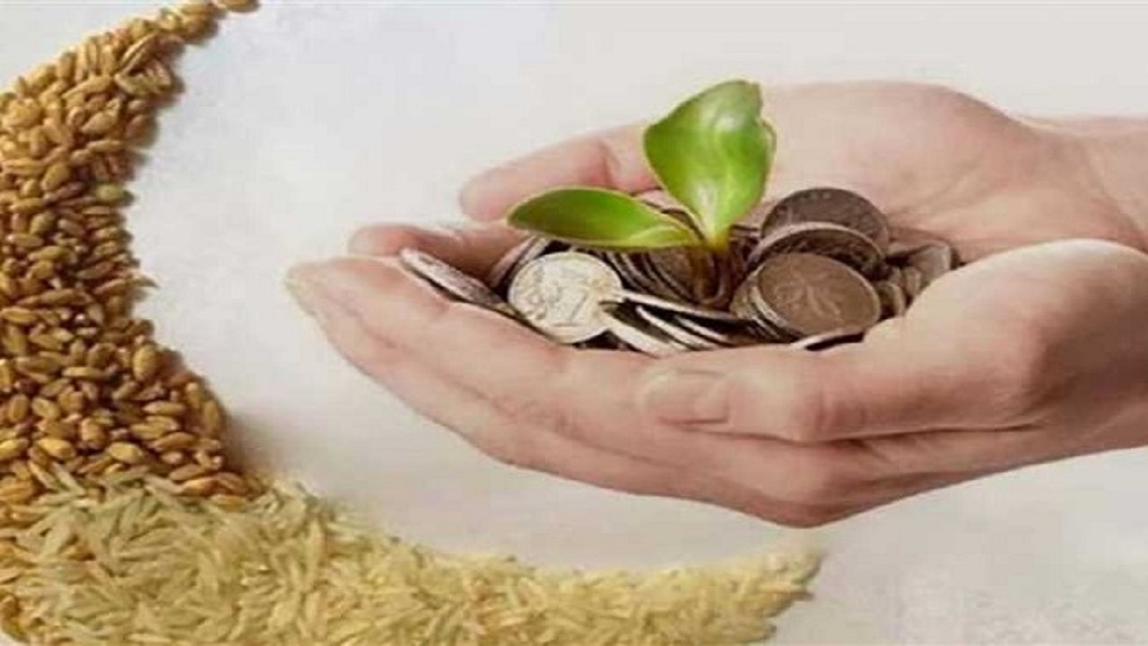 بهره مندی ۲ هزار و ۹۷ بیمار صعب العلاج و سرطانی گلستانی از زکات فطریه