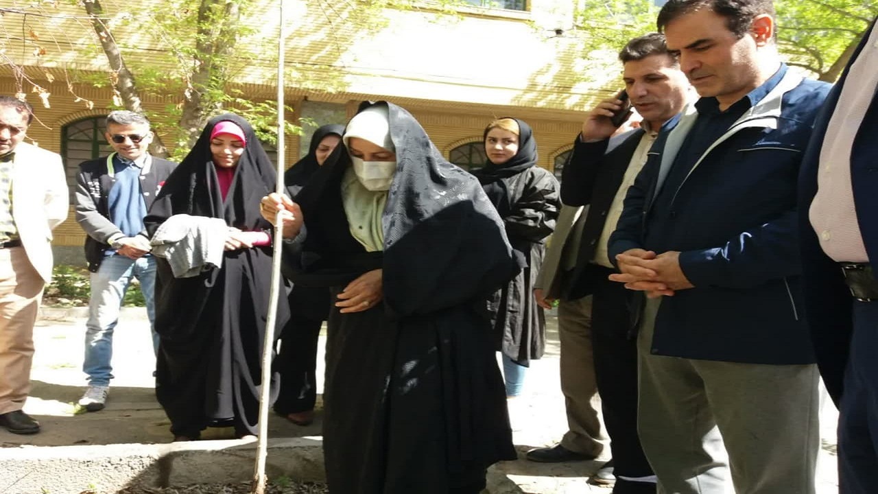 کاشت نهال به یاد هنرمندان فقید خوی