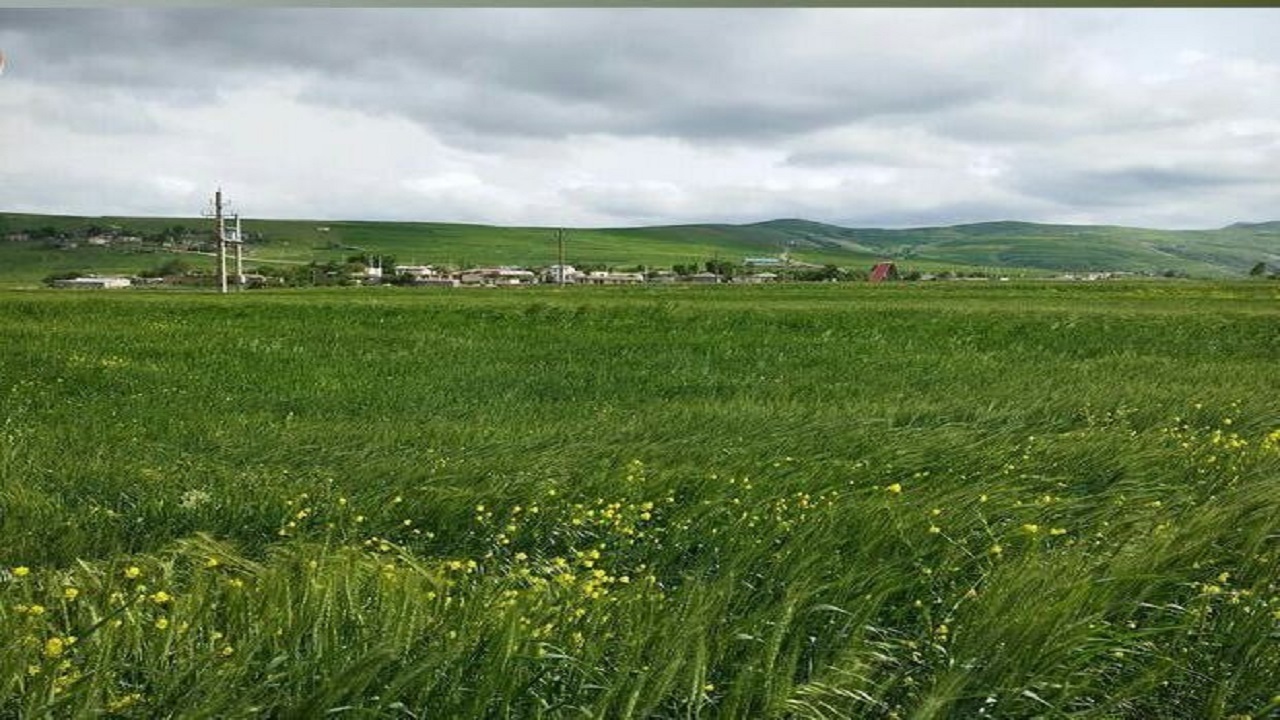 جلوه‌ای از طبیعت روستای پیه دره در استان اردبیل + فیلم