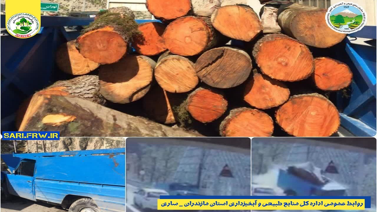 توقیف نیسان حامل چوب جنگلی قاچاق در آمل