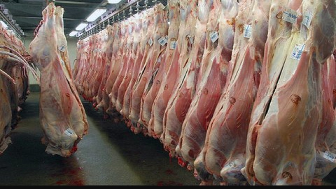 بیش از ۲۸ تن لاشه غیربهداشتی دام و طیور در کرمانشاه ضبط و معدوم شد