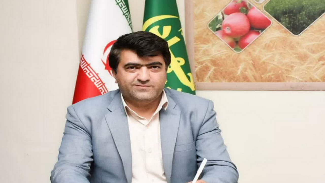 اجرای ۶۵ هزار و ۳۰۰ هکتار کشاورزی قراردادی در هشترود