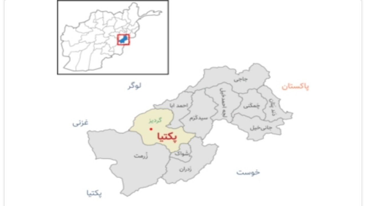 شیوع بیماری پوستی در پکتیکا