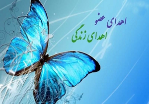 بانوی سبزواری به هفت بیمار نیازمند عضو جان بخشید