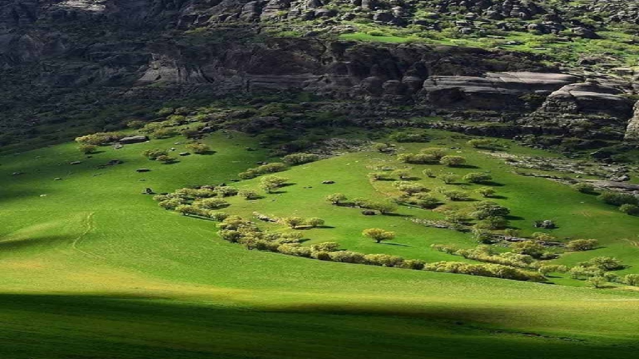 بهشتی با گل سنگ‌های سبز و مخملی در لرستان+فیلم