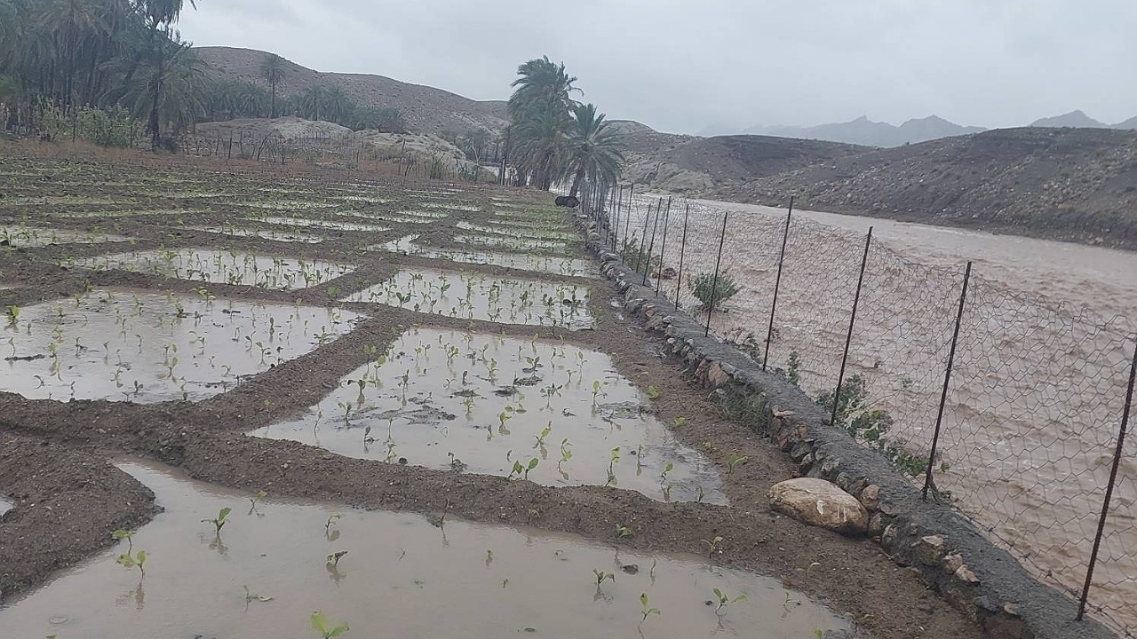 حضور میدانی مدیران اجرایی برای مهار سیلاب
