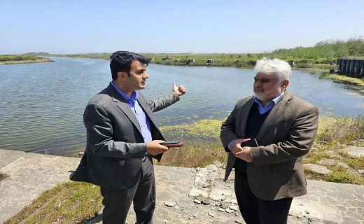 رودخانه سفیدرود، زیستگاه اصلی زادآوری ماهیان خزری