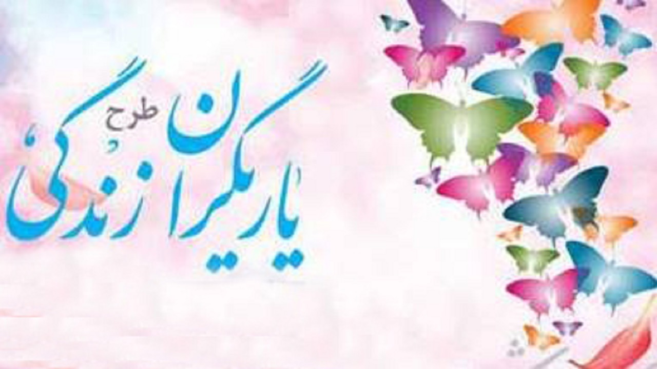 خراسان شمالی دومین استان کشور در مبارزه با مواد مخدر