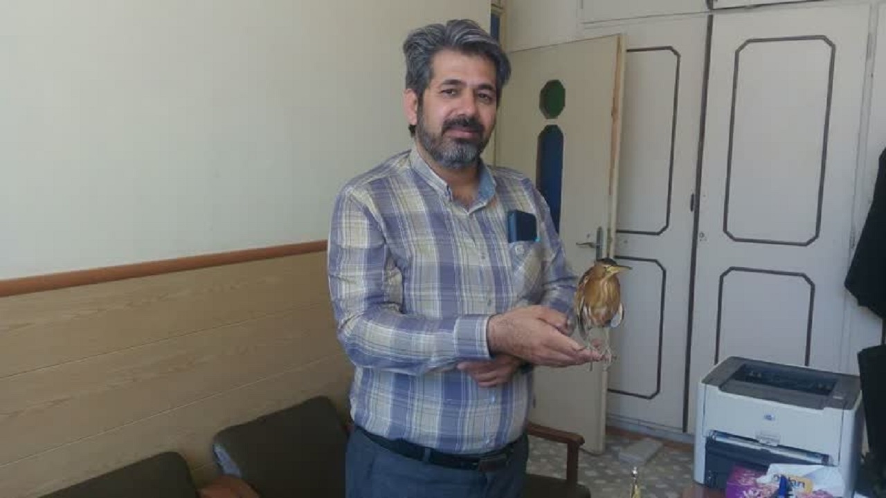 بوتیمار تحویل محیط زیست اردکان شد