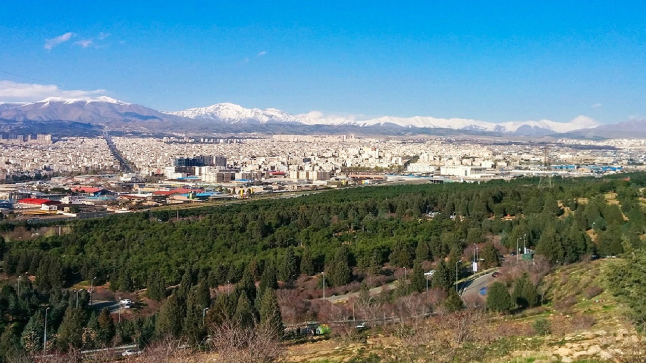 نصب تله‌های فرمونی برای جلوگیری از آفت پوستخوار کاج در بوستان سرخه حصار