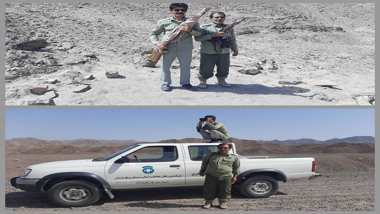 دستگیری متخلف قبل از شروع به شکار با یک قبضه سلاح شکاری