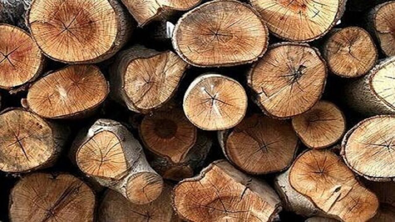 توقیف ۱۰ تن چوب قاچاق در عوارضی قم_گرمسار