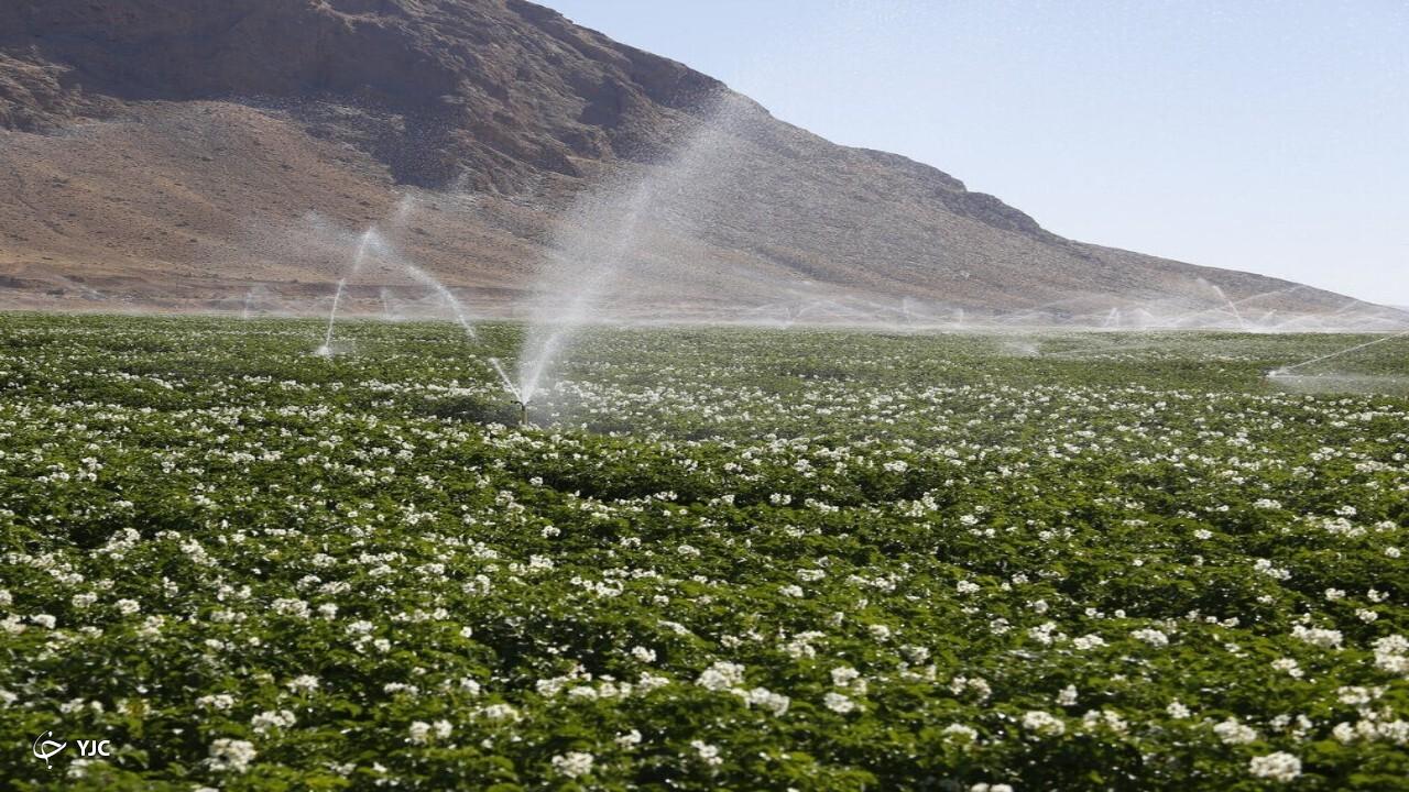 ۶۰ هزار هکتار زمین‌کشاورزی در آذربایجان‌غربی زیرپوشش شبکه آبیاری است