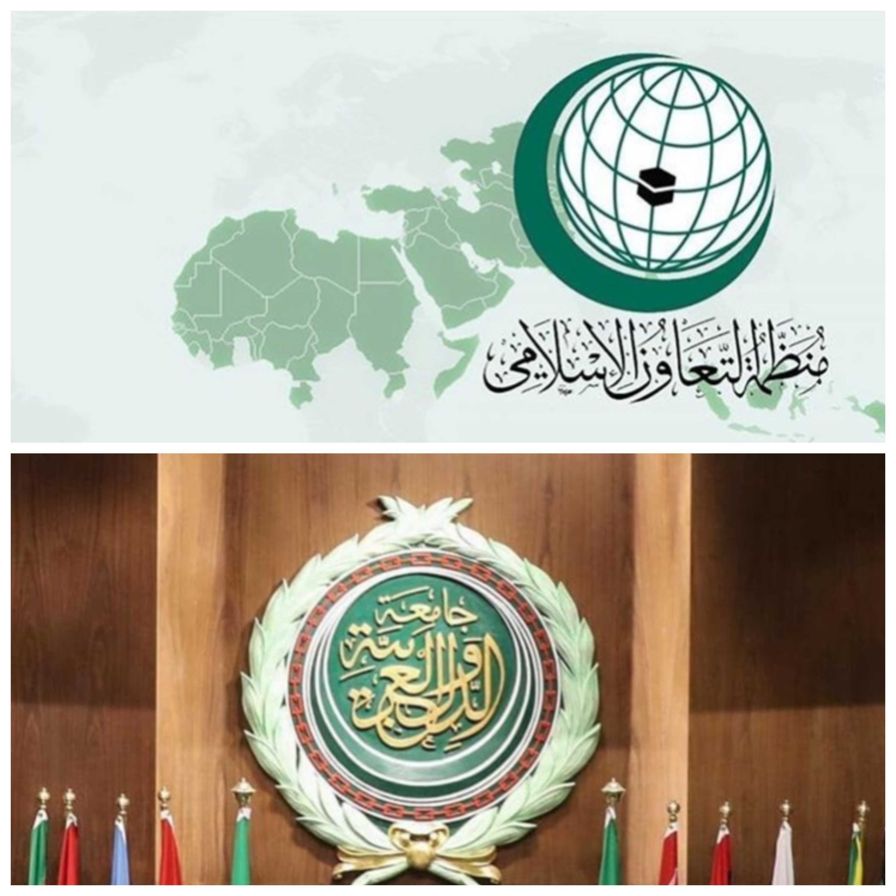 سازمان همکاری های اسلامی اتحادیه عرب