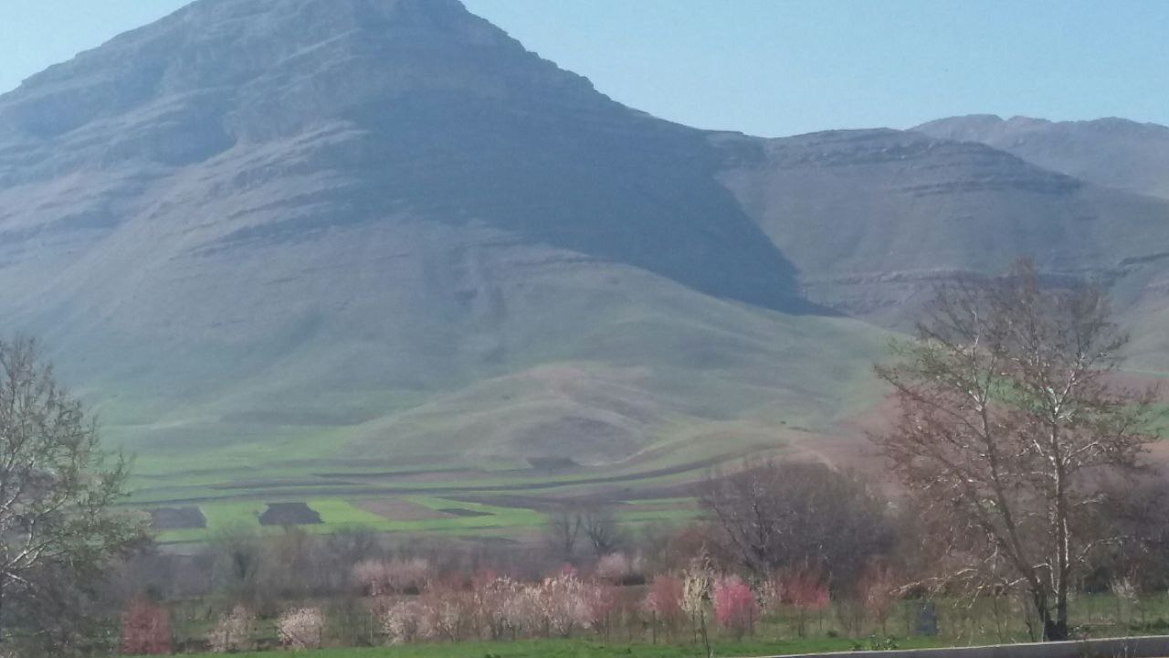 باغ