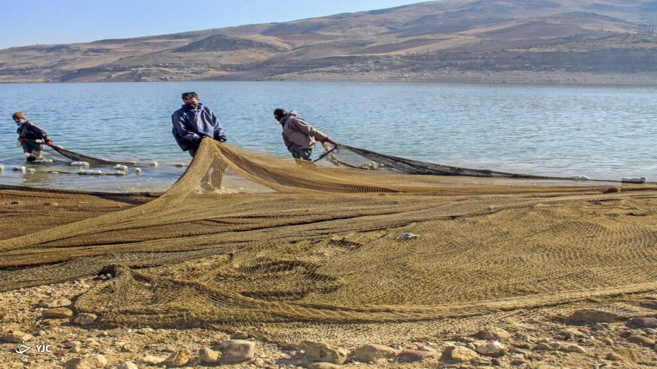 صیدماهی در دریاچه سد مهاباد متوقف شد