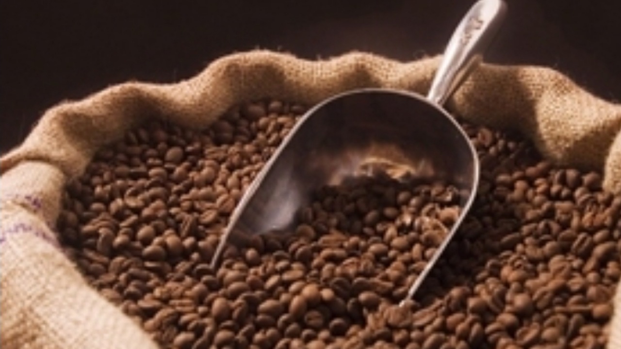 واردات قهوه به ۵۲ هزار تن رسید