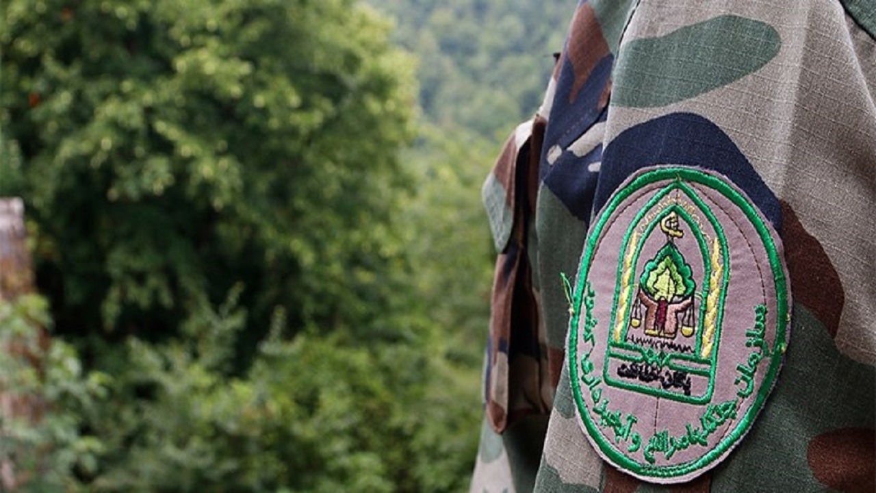 قاچاقچیان چوب در تالش ۲ جنگلبان را مجروح کردند