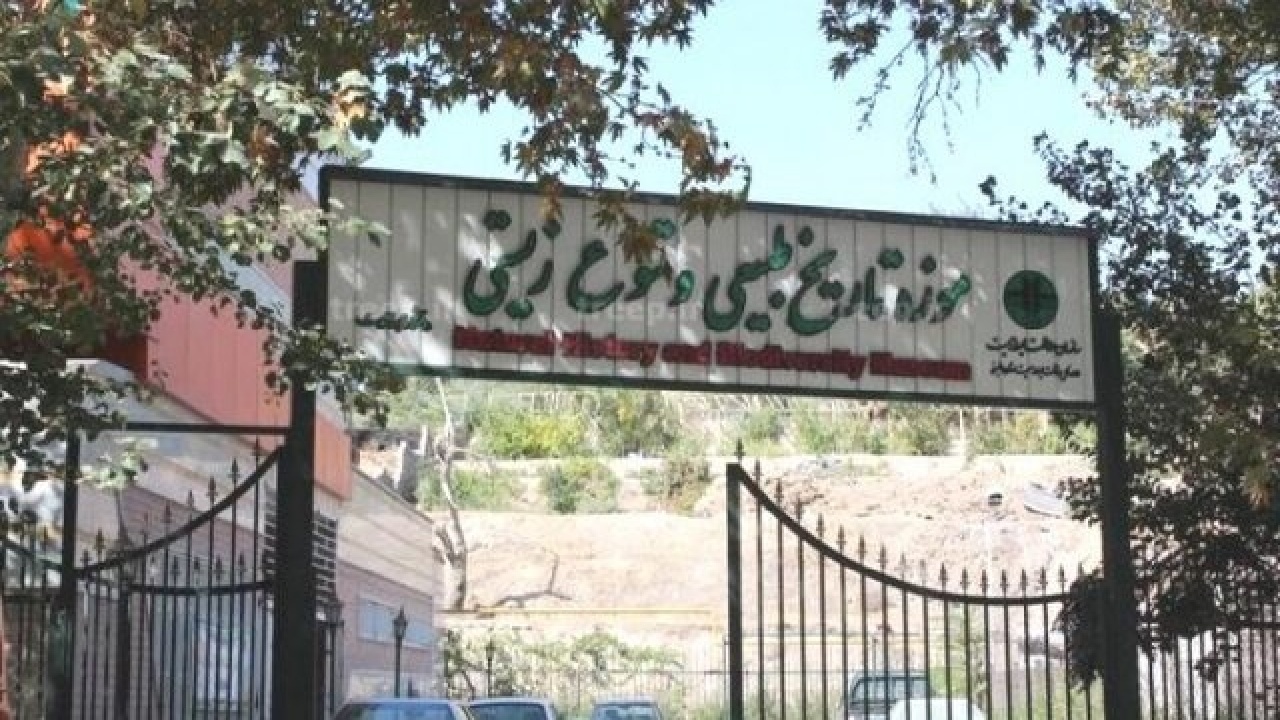 بازدید بیش از ١۵ هزار و ۵۰۰ نفر از موزه تاریخ طبیعی و تنوع زیستی لرستان