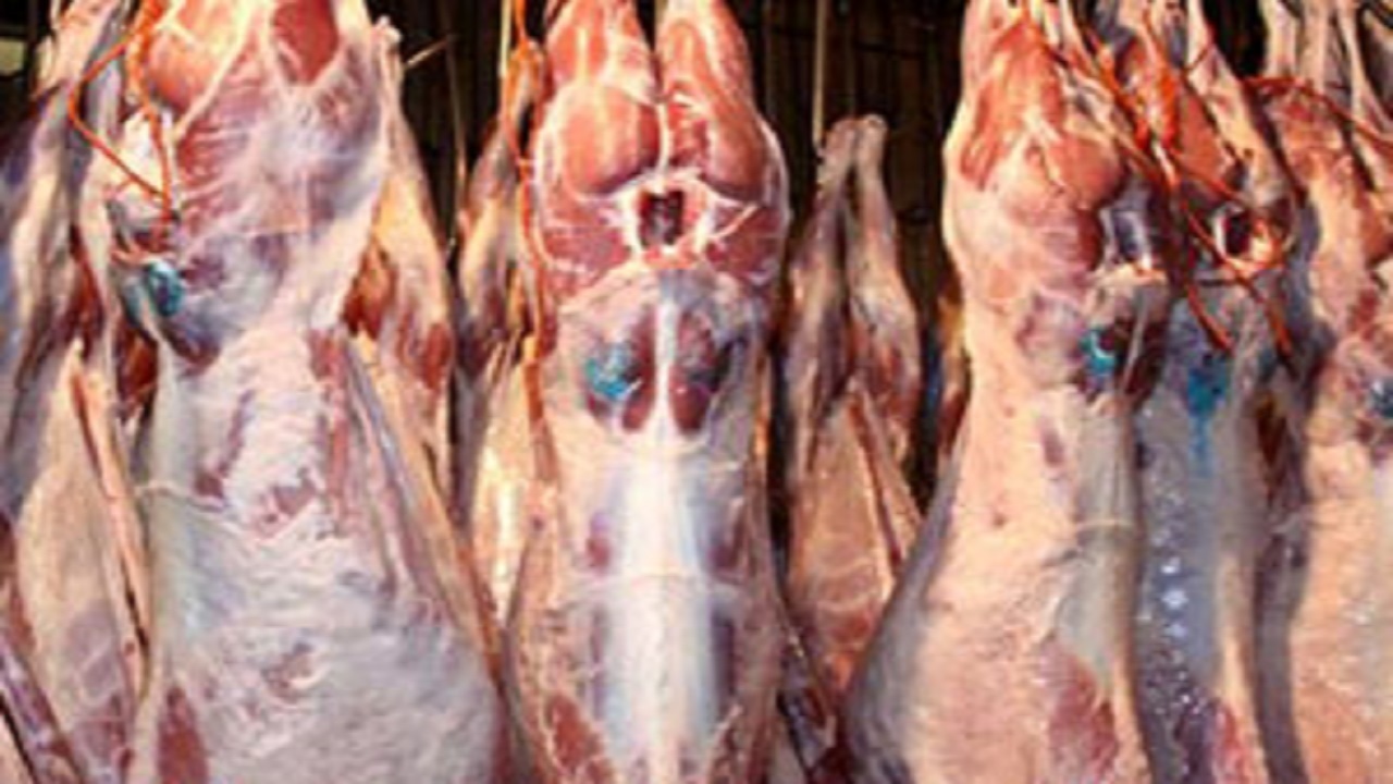 معدوم‌سازی ۲۱ هزار و ۶۰۴ کیلوگرم مواد غذایی فاسد در لرستان