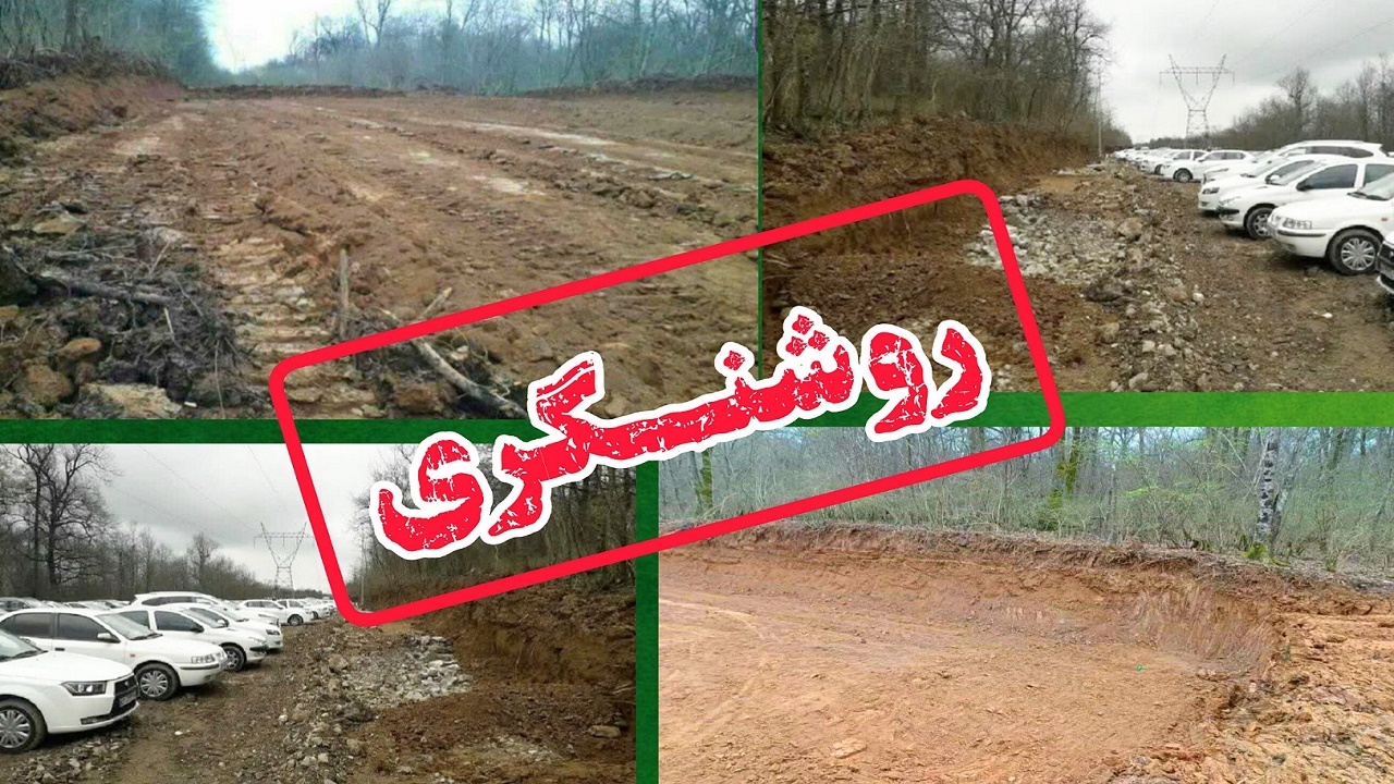 روشنگری منابع طبیعی پیرو انتشار خبر قطع ۴۰۰۰ اصله درخت در الیمالات شهرستان نور