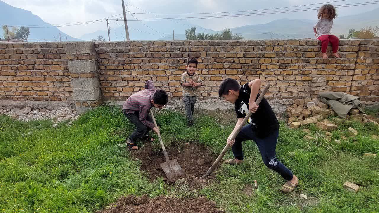 کاشت درخت در طبیعت