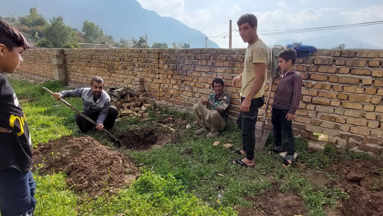 درختکاری