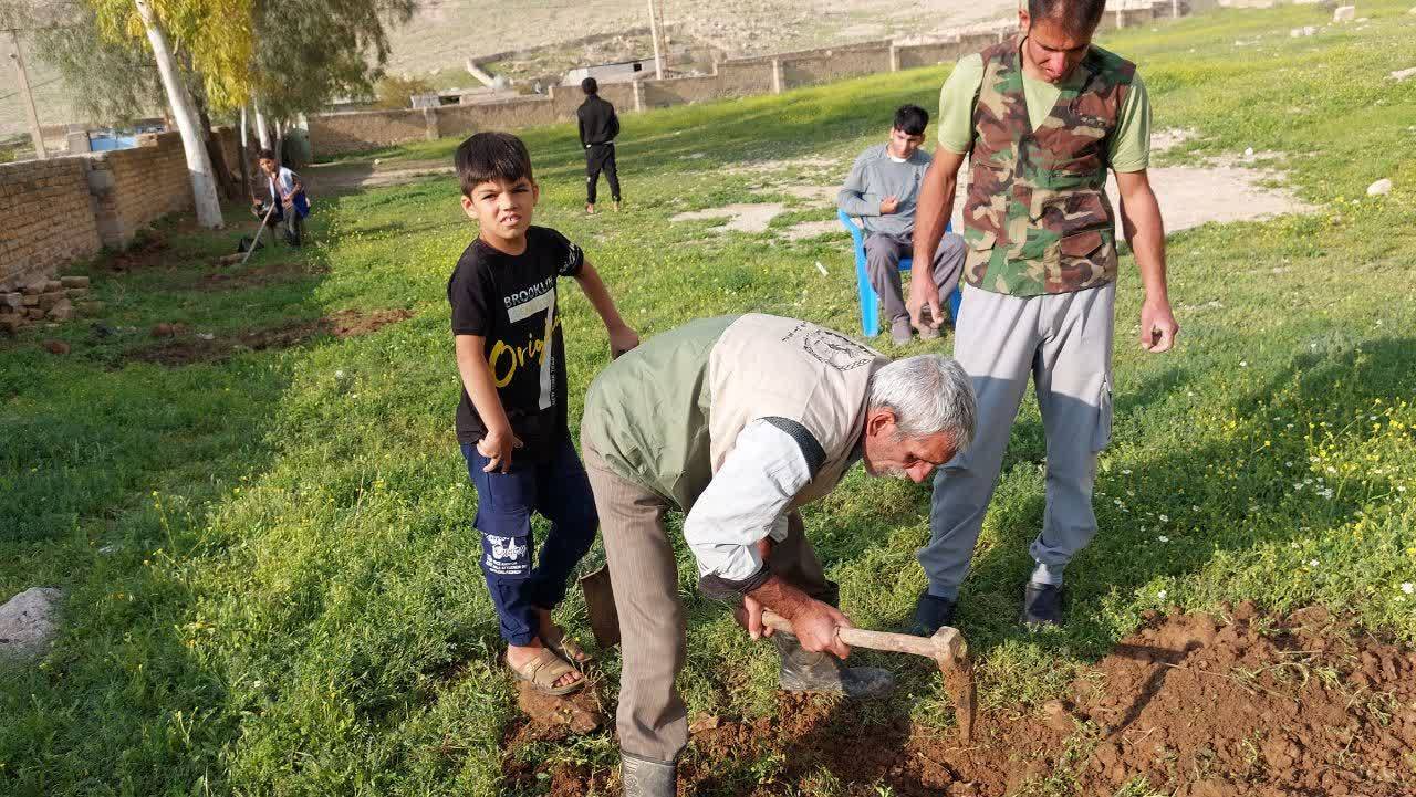 کاشت درخت