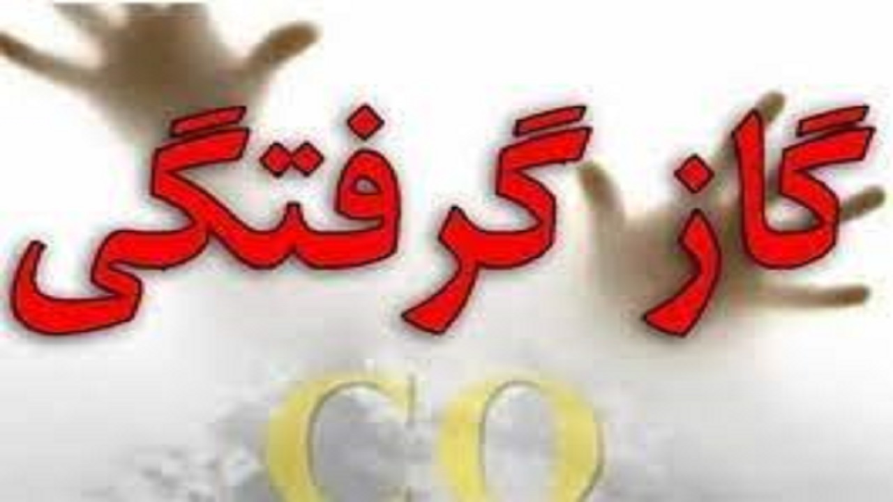 مسمومیت پنج نفر با گاز مونوکسیدکربن در اردبیل