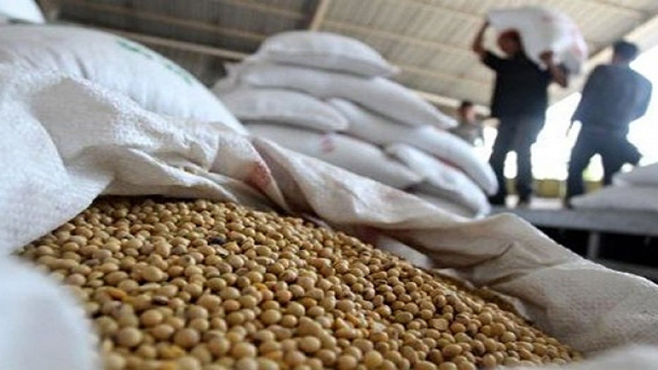 پیگیری مطالبات سویاکاران گلستانی