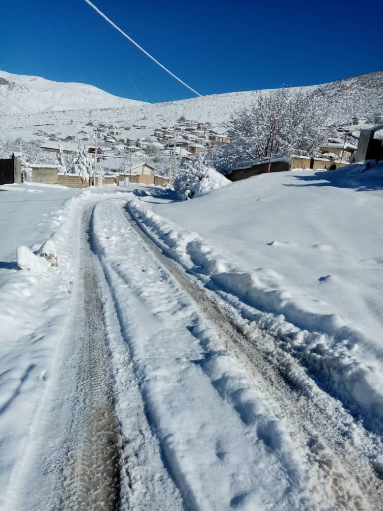 طبیعت زمستانی