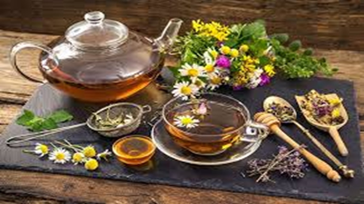 برداشت بهار نارنج در فارس + فیلم