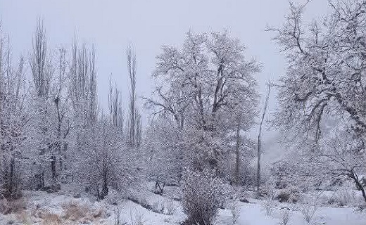 جای جای خراسان جنوبی شاهد بارش برف و باران است