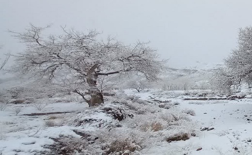 جای جای خراسان جنوبی شاهد بارش برف و باران است