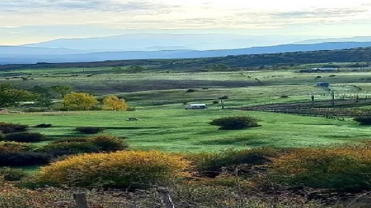 پایداری هوای مطبوع در گیلان