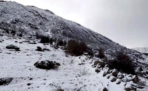 حفاظت از حیات وحش گیلان در فصل سرد زمستان
