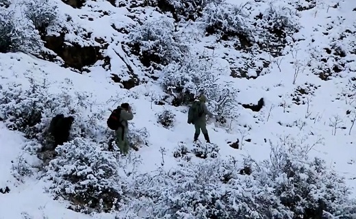 حفاظت از حیات وحش گیلان در فصل سرد زمستان