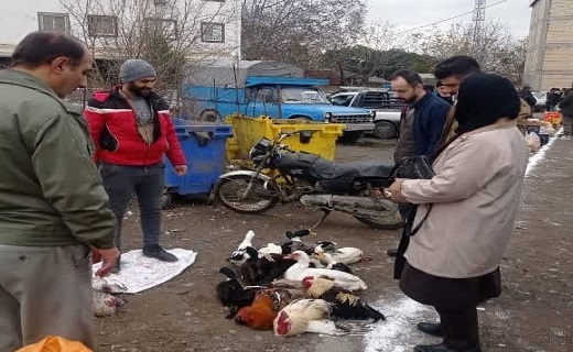 پایش مستمر بازار&zwnj;های محلی گیلان&nbsp;