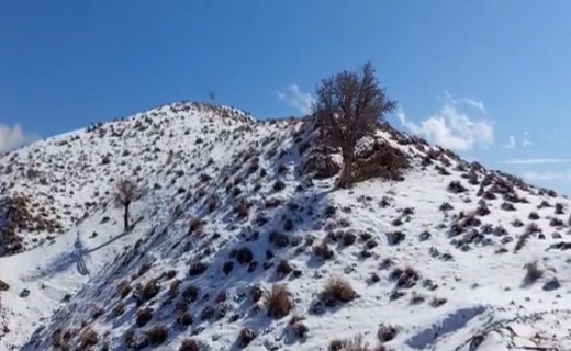 طبیعت زمستانی کلاته میرشاه + تصاویر