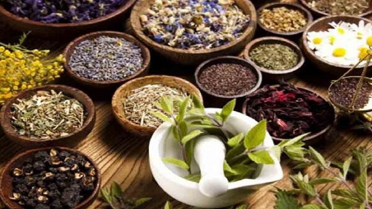 کشت ۳۶۰۰ هکتار انواع گیاهان دارویی در گلستان