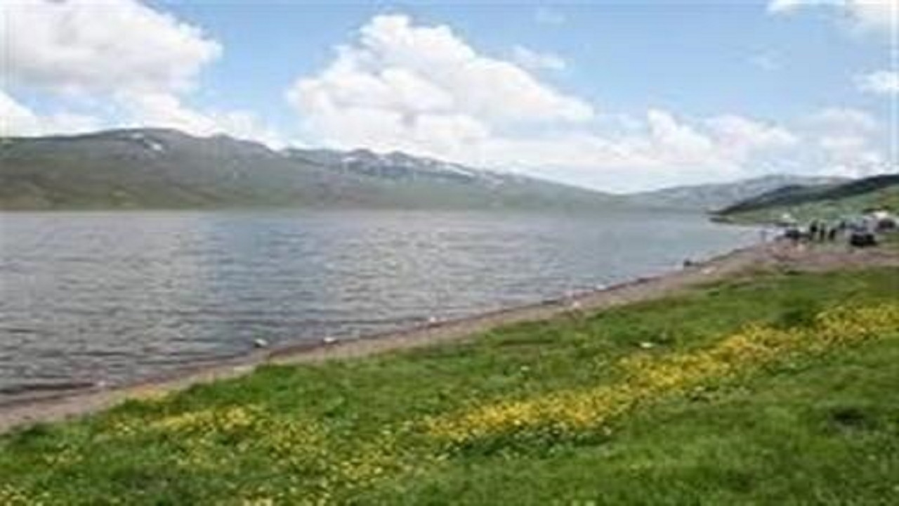 طرح احیای تالاب نئور از موفق‌ترین طرح‌های محیط زیست در کشور است