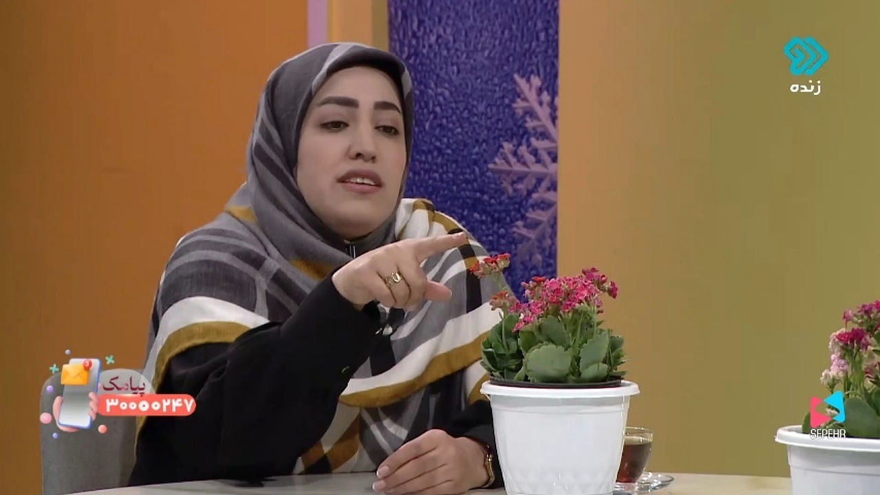 نحوه نگهداری از گیاه کالانکوئه + فیلم
