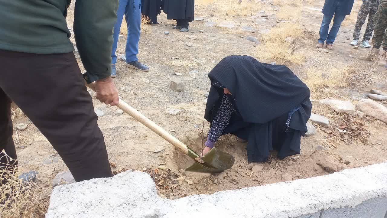 درختکاری