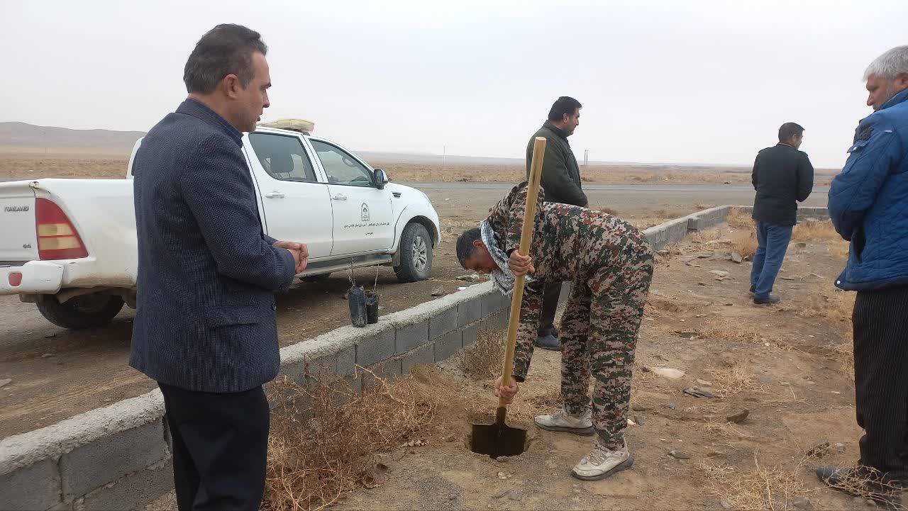 کاشت درخت