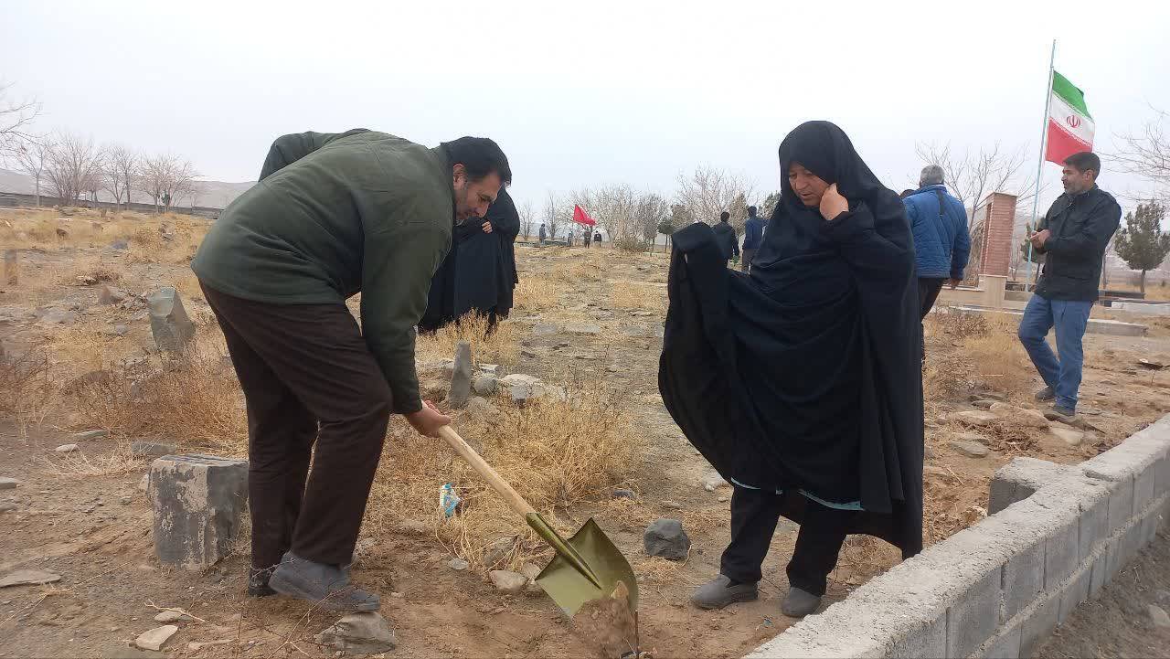 کاشت نهال