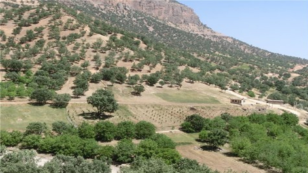 جنگل‌کاری در مجموعه گردشگری گرده داغ زنجان توسعه می‌یابد