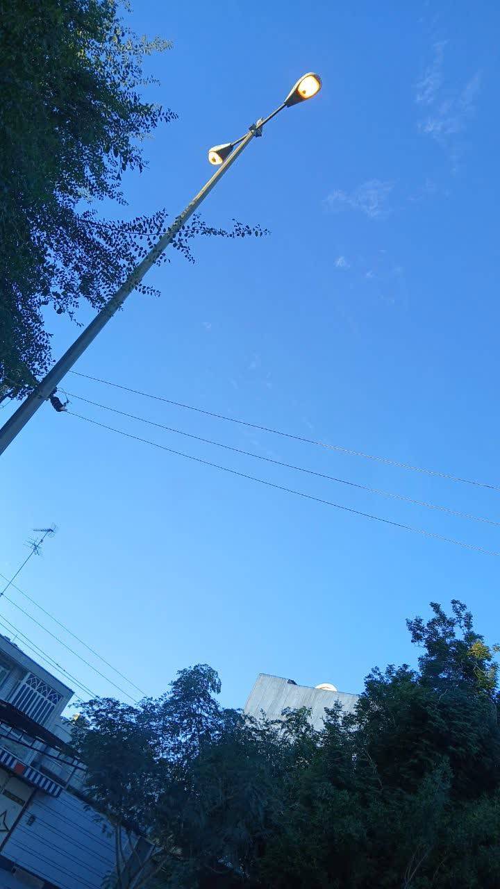 تیر چراغ برق