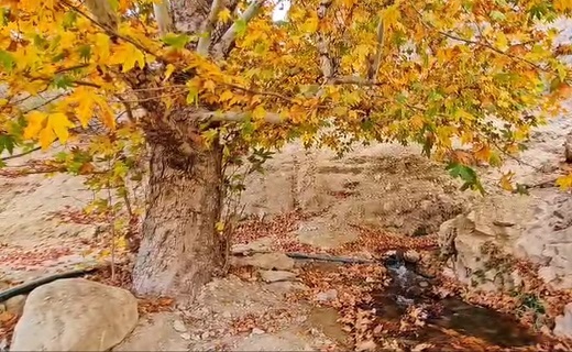 روستای تجنود یکی از روستا&zwnj;های شهرستان زیرکوه است